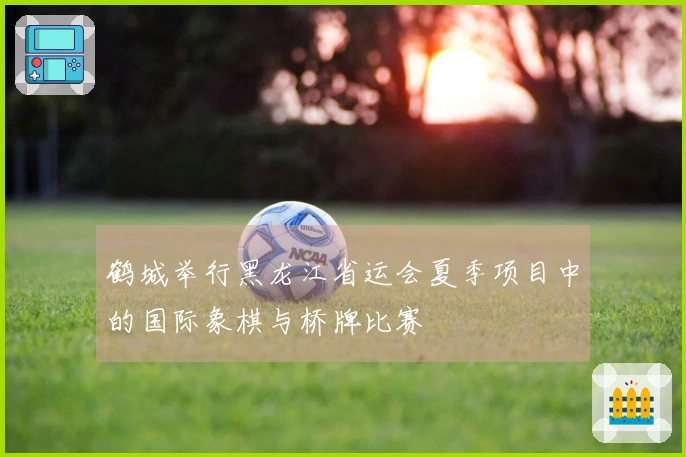 鹤城举行黑龙江省运会夏季项目中的国际象棋与桥牌比赛